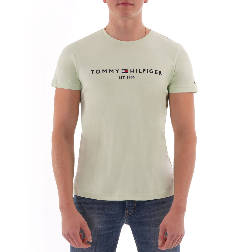 Tommy Hilfiger Logo T-Shirt - Spray