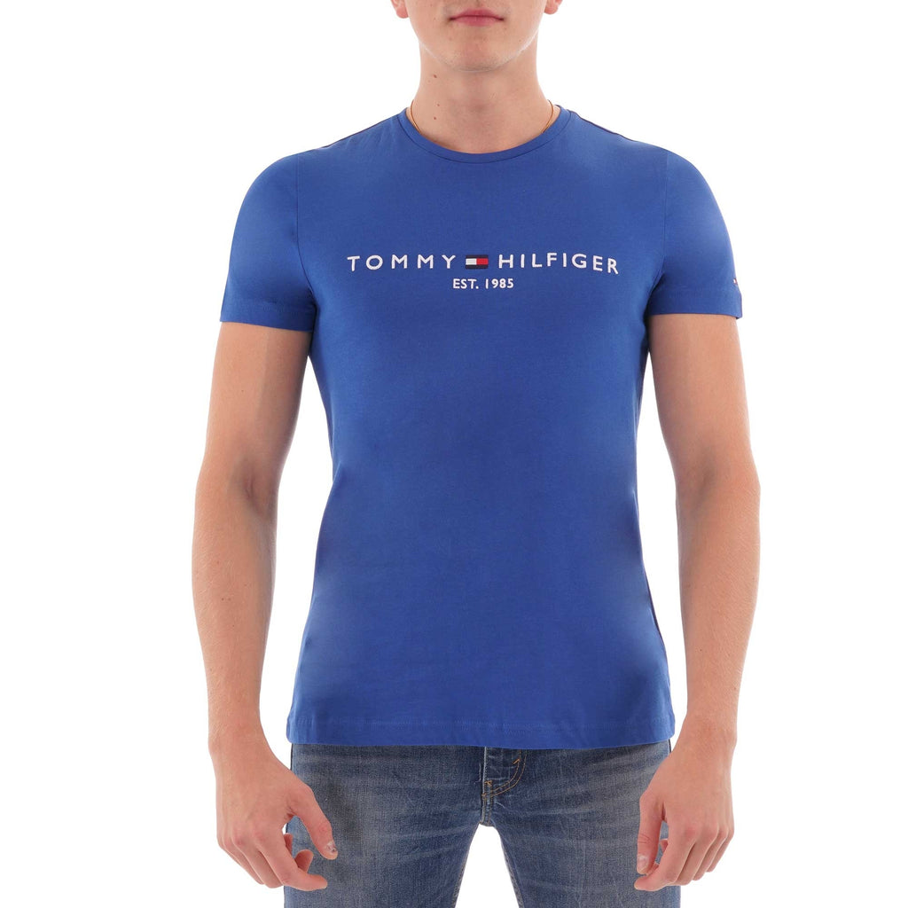 Tommy Hilfiger Logo T-Shirt - Blue Quartz