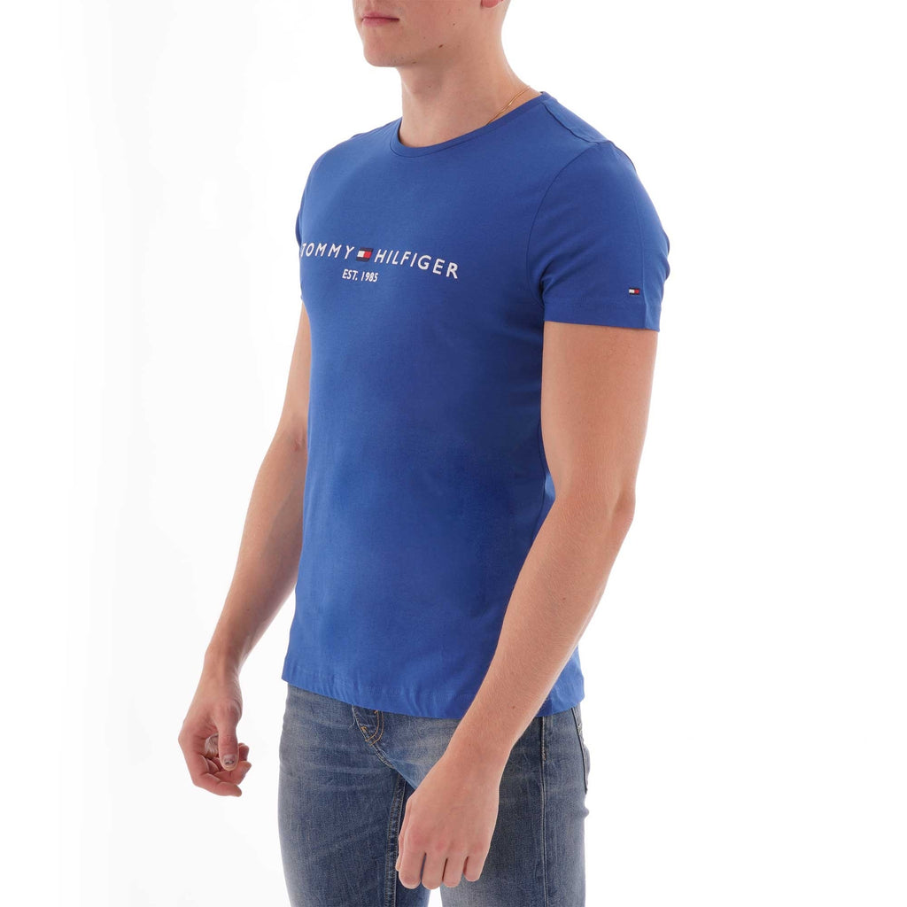 Tommy Hilfiger Logo T-Shirt - Blue Quartz