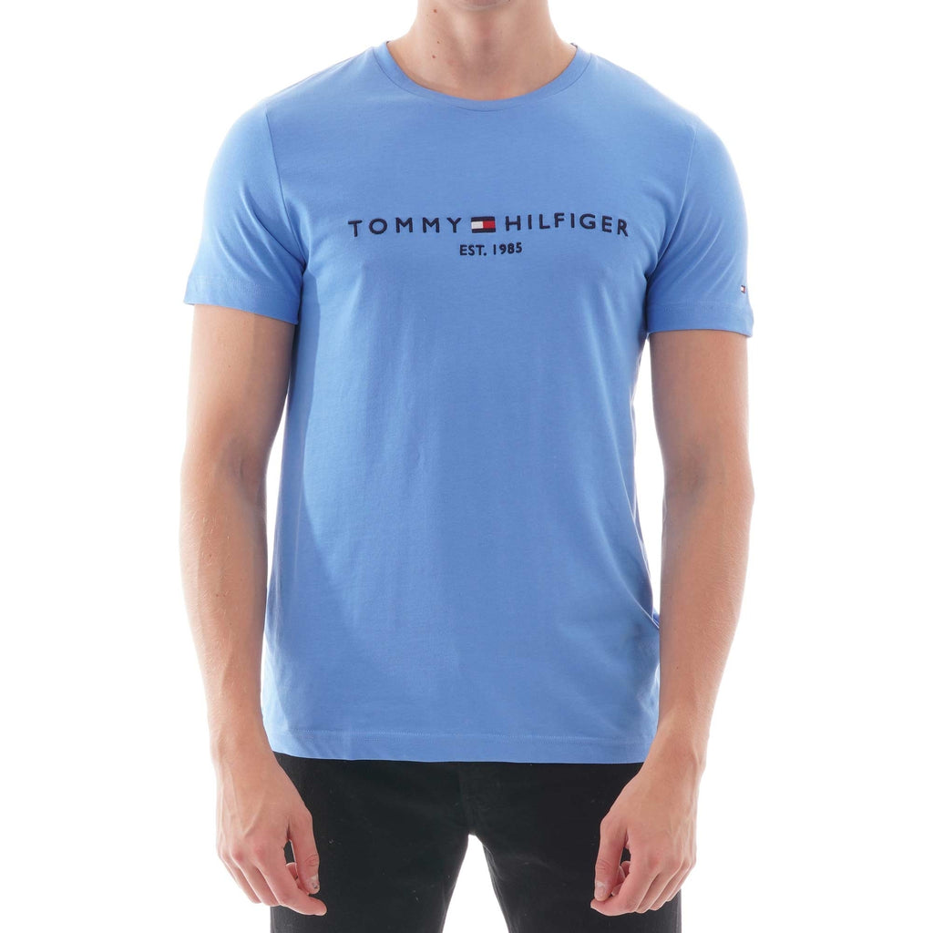 Tommy Hilfiger Logo T-Shirt - Regatta