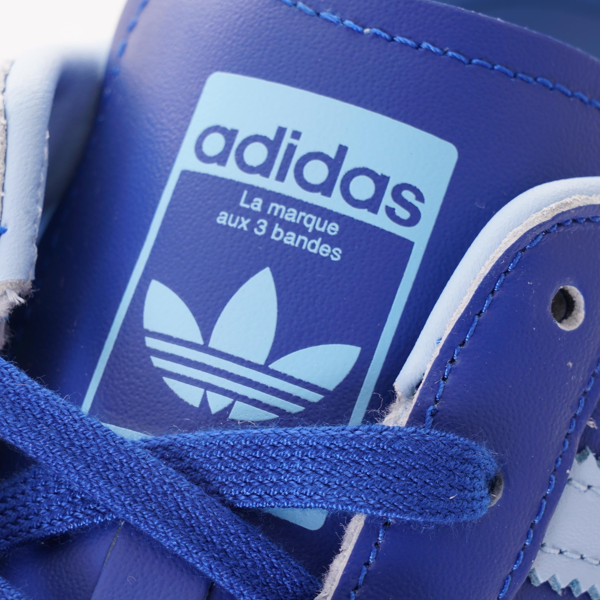 Adidas Originals Superstar - Royal