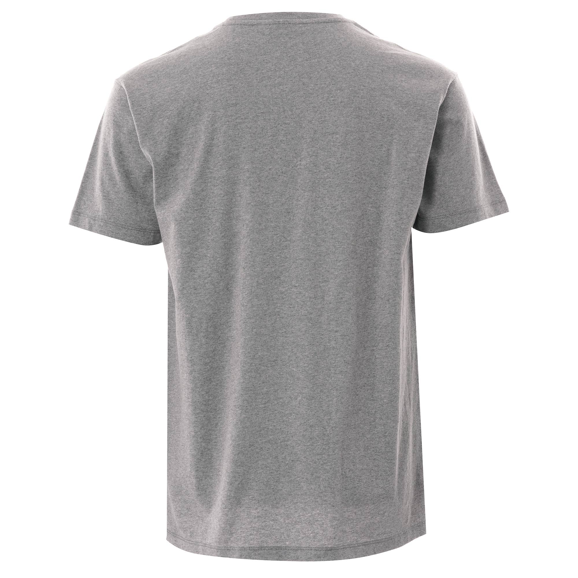 Napapijri Sase T-Shirt - Grey