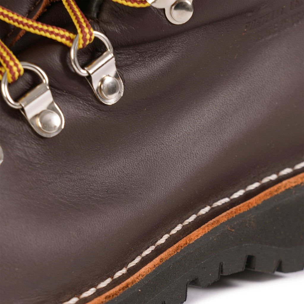 Danner Womens Mountain Light - Brown