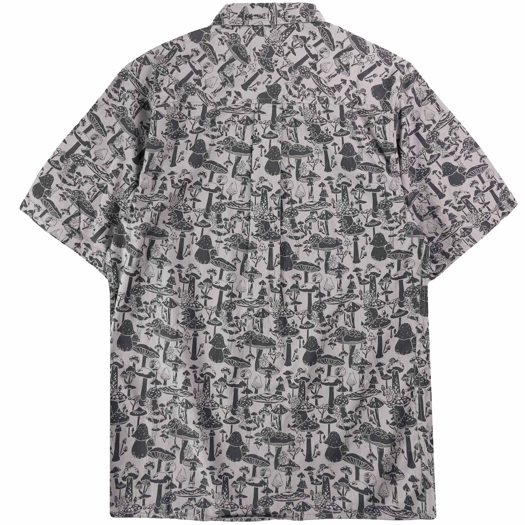 Kavu Festaruski - Forage