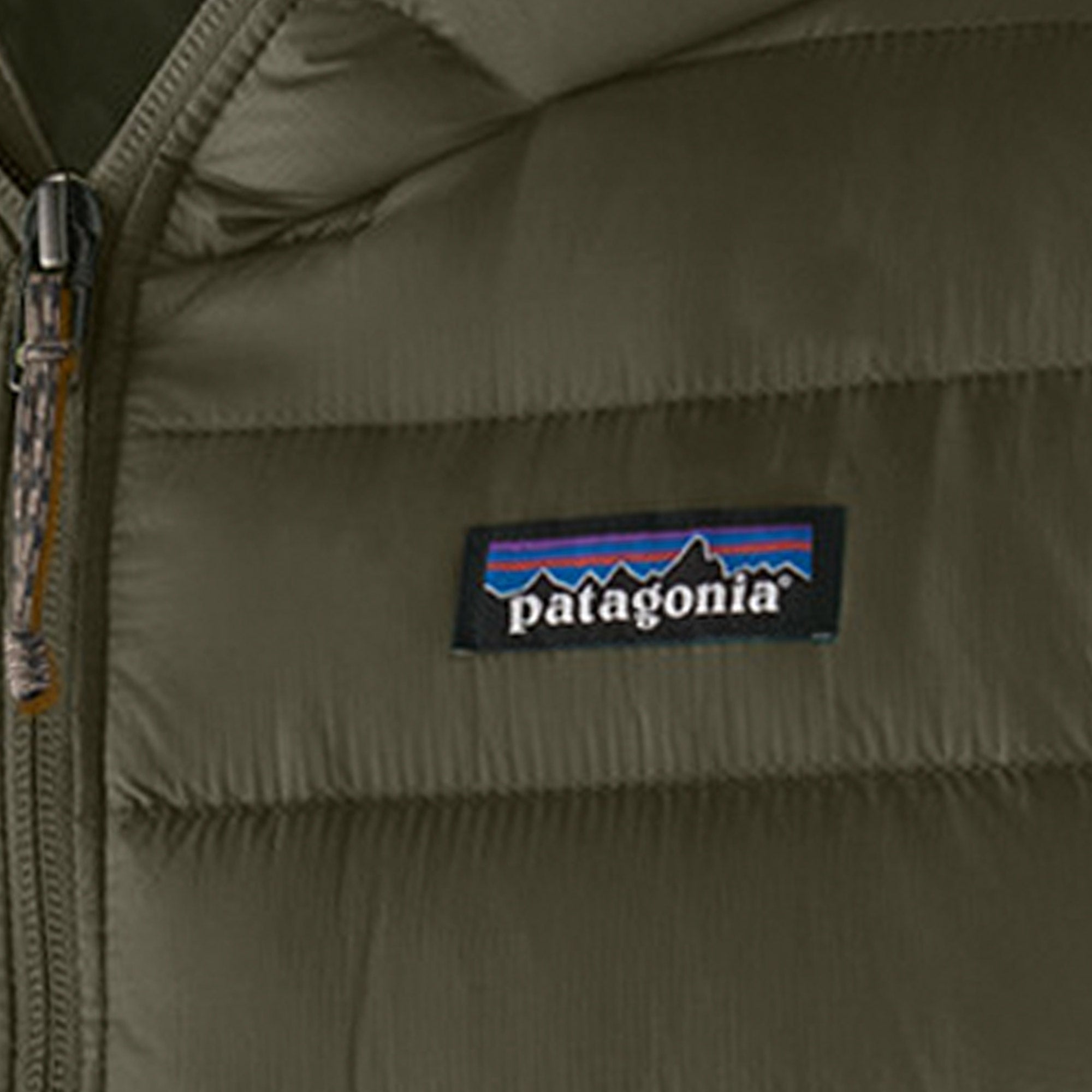 Patagonia Down Sweater Hoody - Pine Green