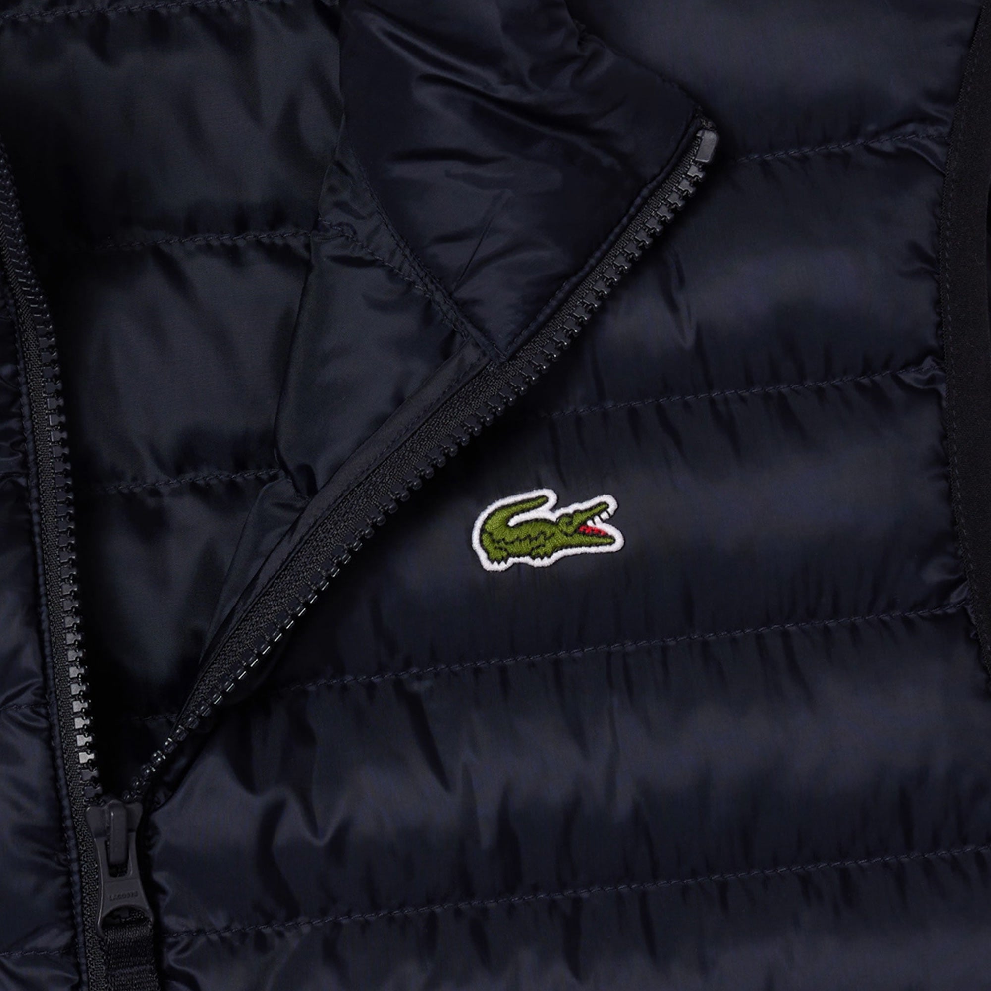 Lacoste Water Repellent Puffed Vest - Marine