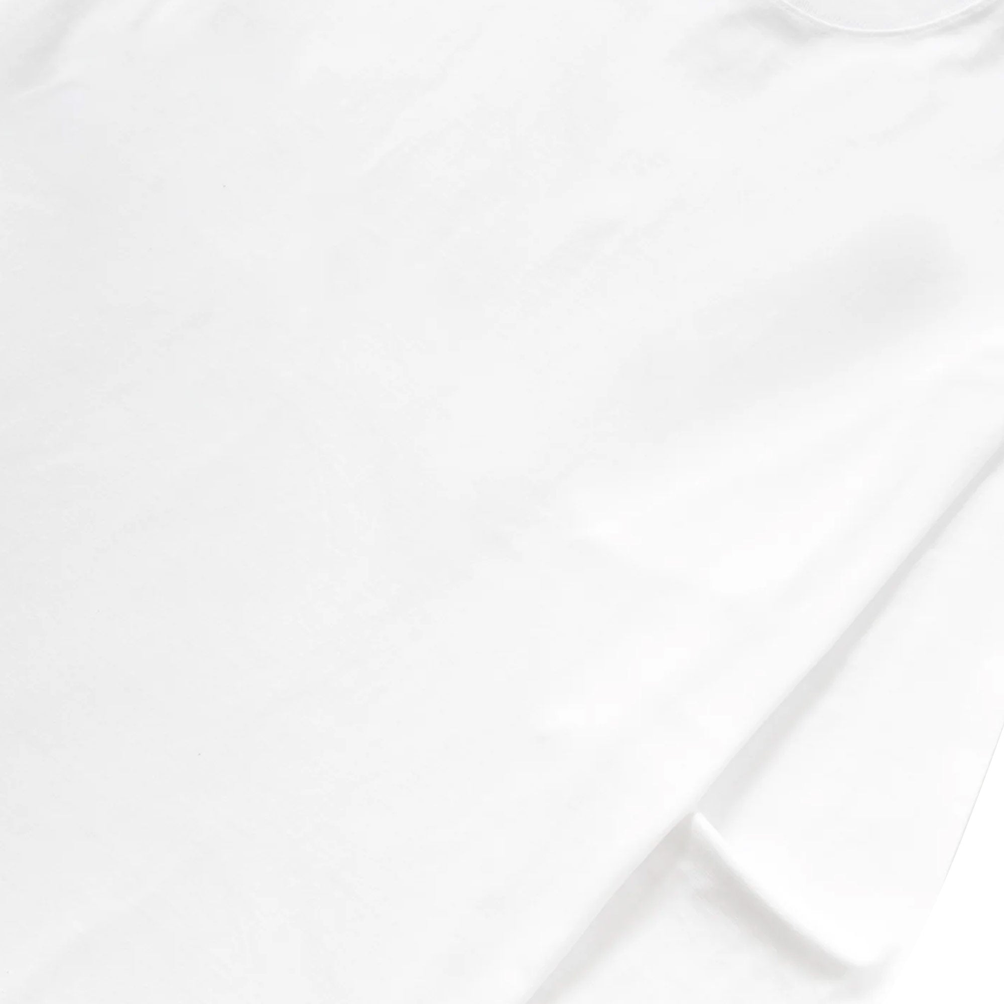 Classic Heavyweight Long Sleeve 6.2oz Tee - White