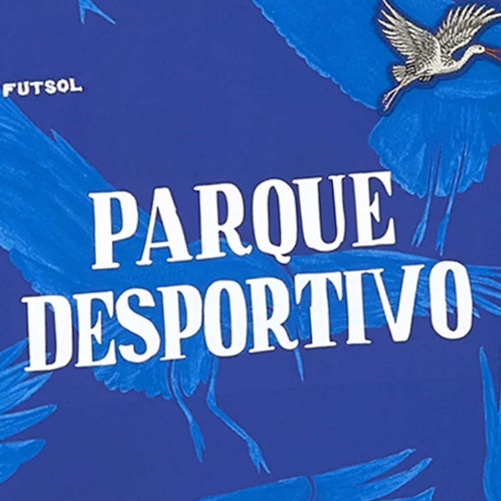 Futsol Comporta Cegonha Jersey - Blue