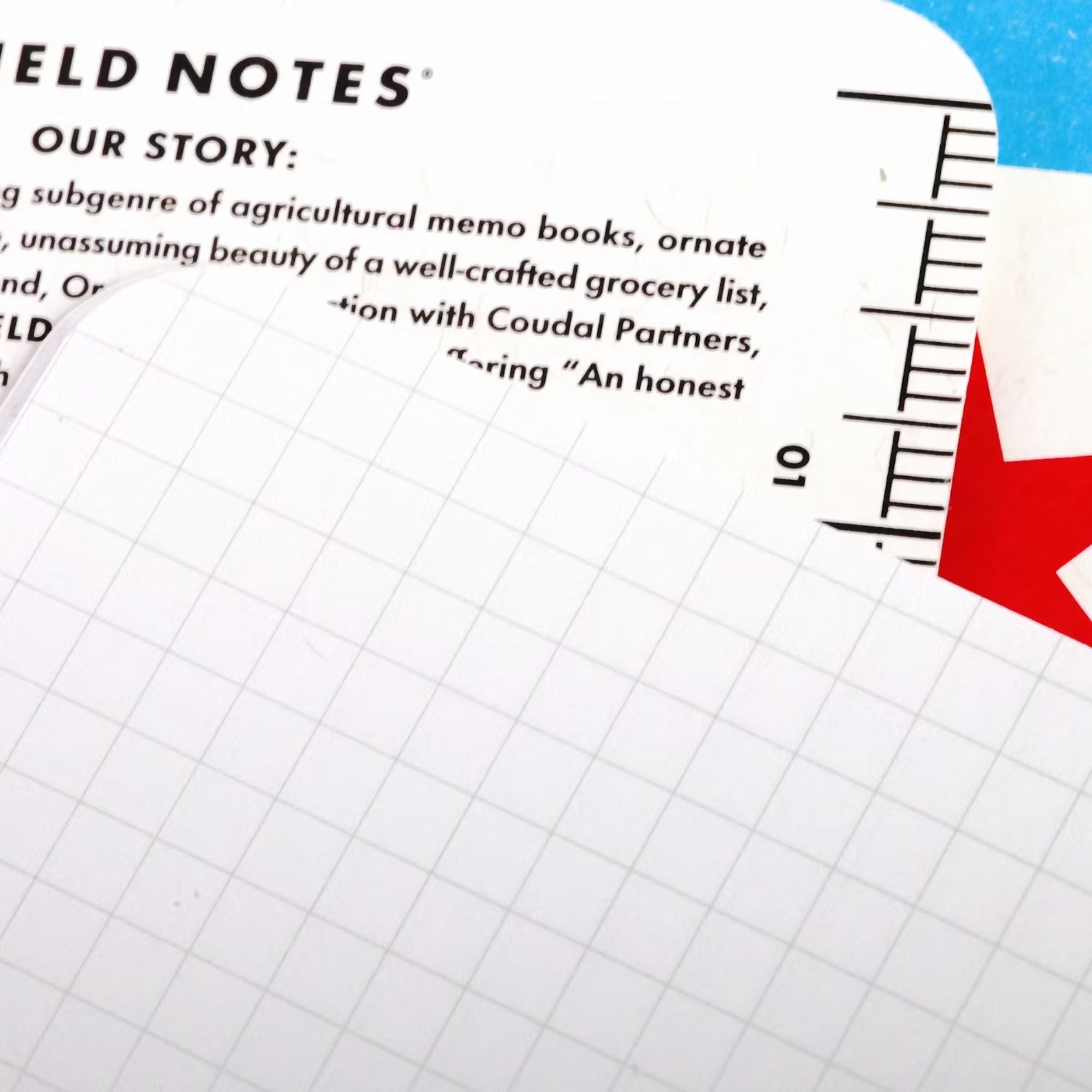 3 Pack - Chicago Memo Book