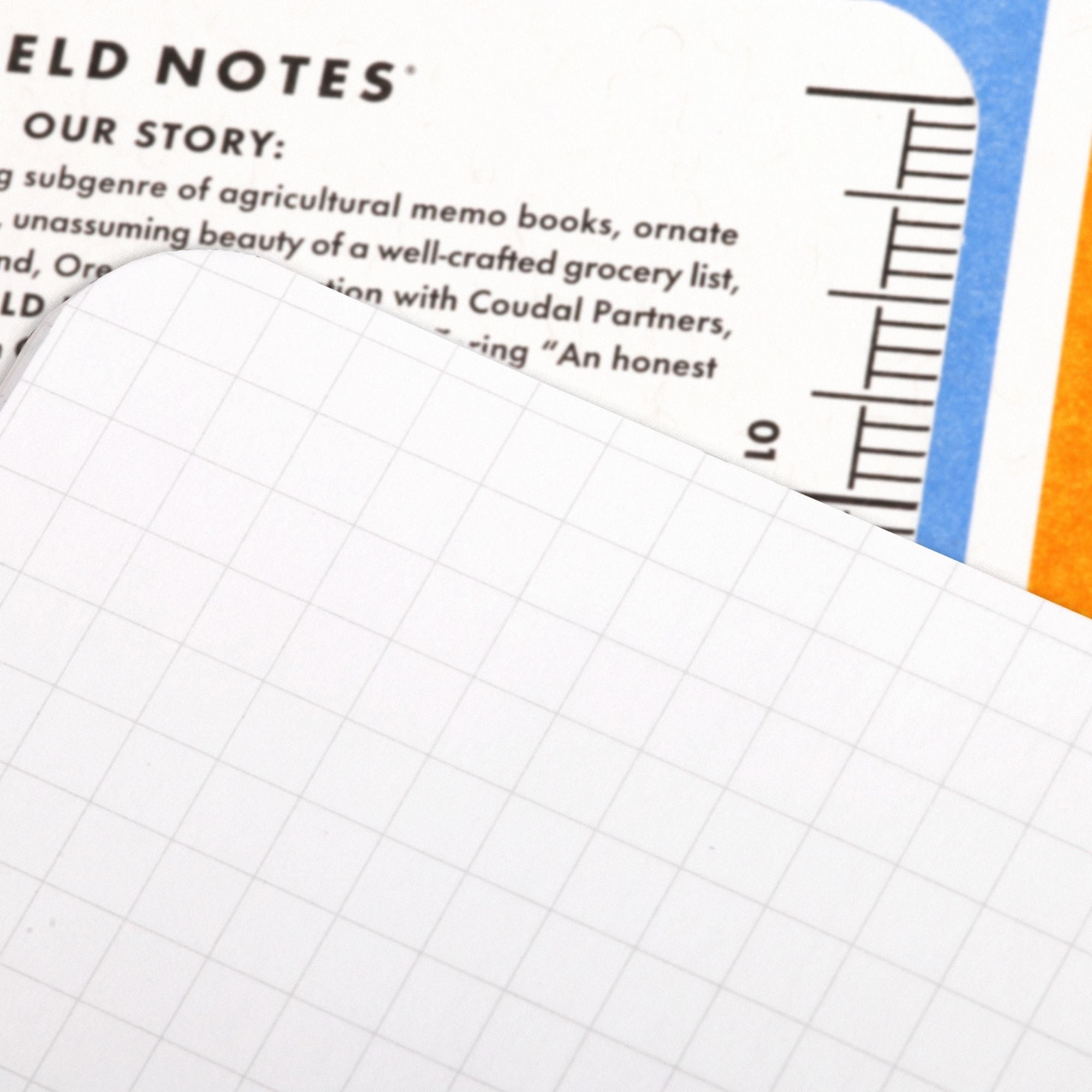 3 Pack - Portland Memo Books