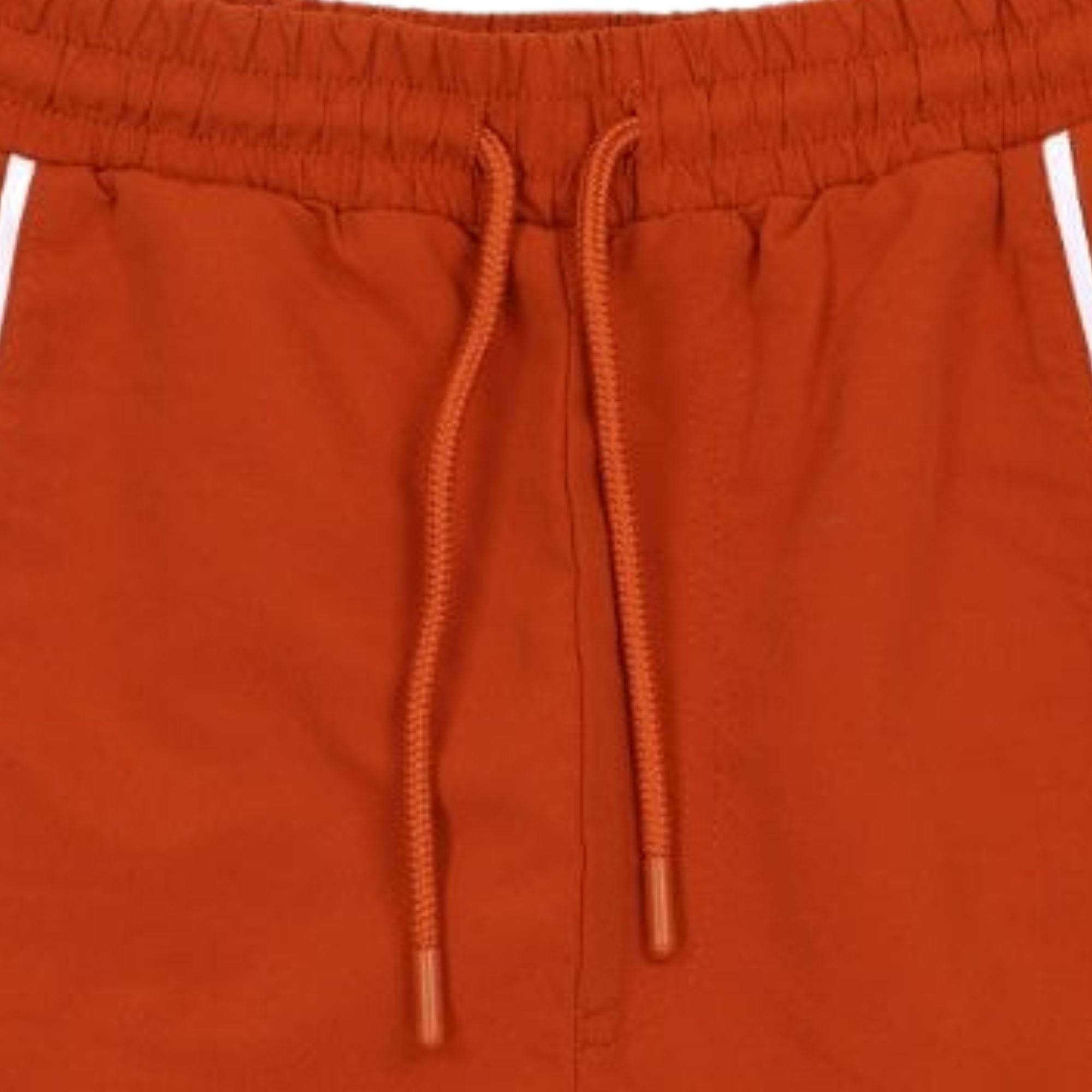 Romolo Swim Shorts - Tea